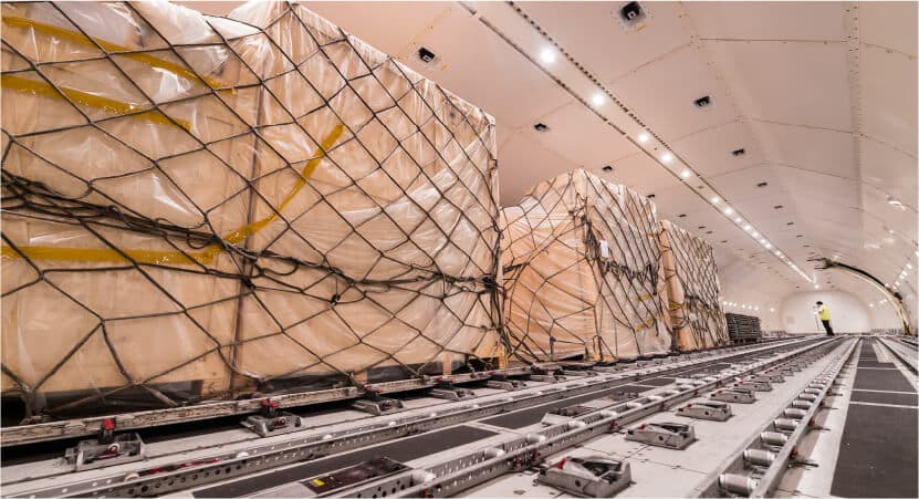 Netted cargo pallets secured inside a freighter aircraft's main deck