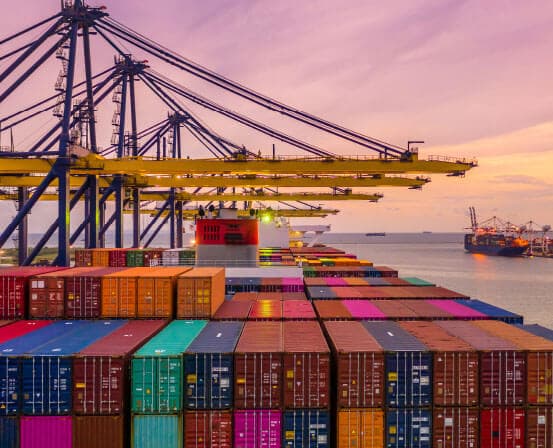 Container stacks under gantry cranes at a seaport at dusk